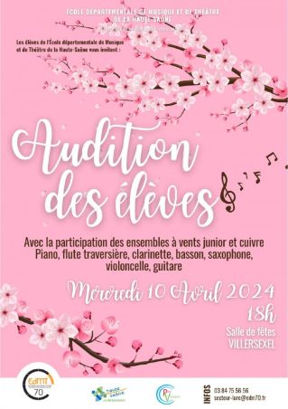 Ecole départementale de Musique et de Théâtre : Audition des élèves