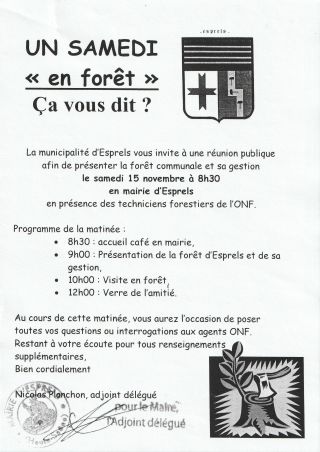 Un samedi << en forêt >> ca vous dit ?