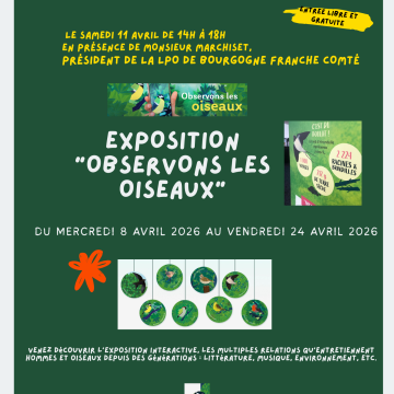 Exposition ''Observons les oiseaux''