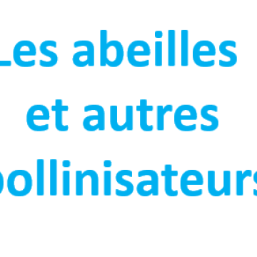 La médiathèque propose : Les abeilles et autres pollinisateurs