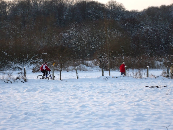 cycliste-vce-28d4.png