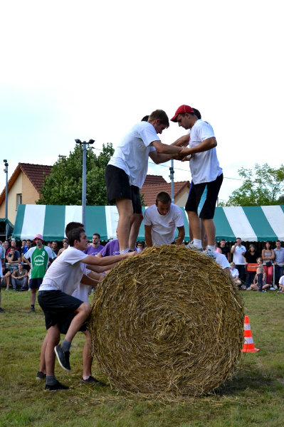 cycliste-vce-28d4.png